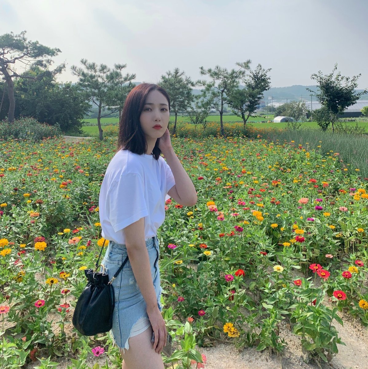 weverse update.