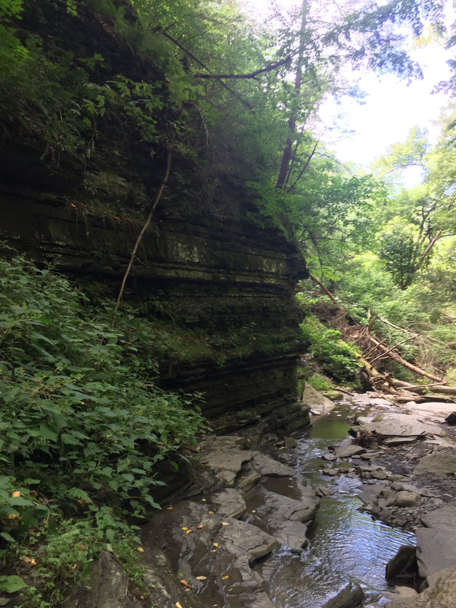 Find ways to get out into the world. Even if it's just a walk around the block or a journey to a nearby park, it will help shift thoughts, emotions, and how you feel in your body. Create some room to breathe and take a moment for yourself 
(or ask a friend to walk with you!).