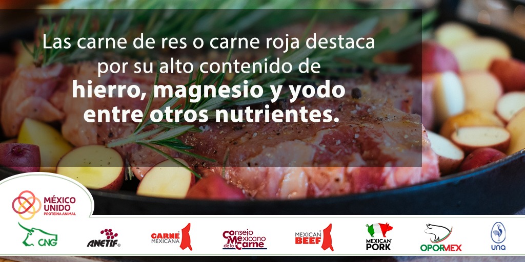 Sabes los beneficios que tiene el incluir en tu dieta carne de res?