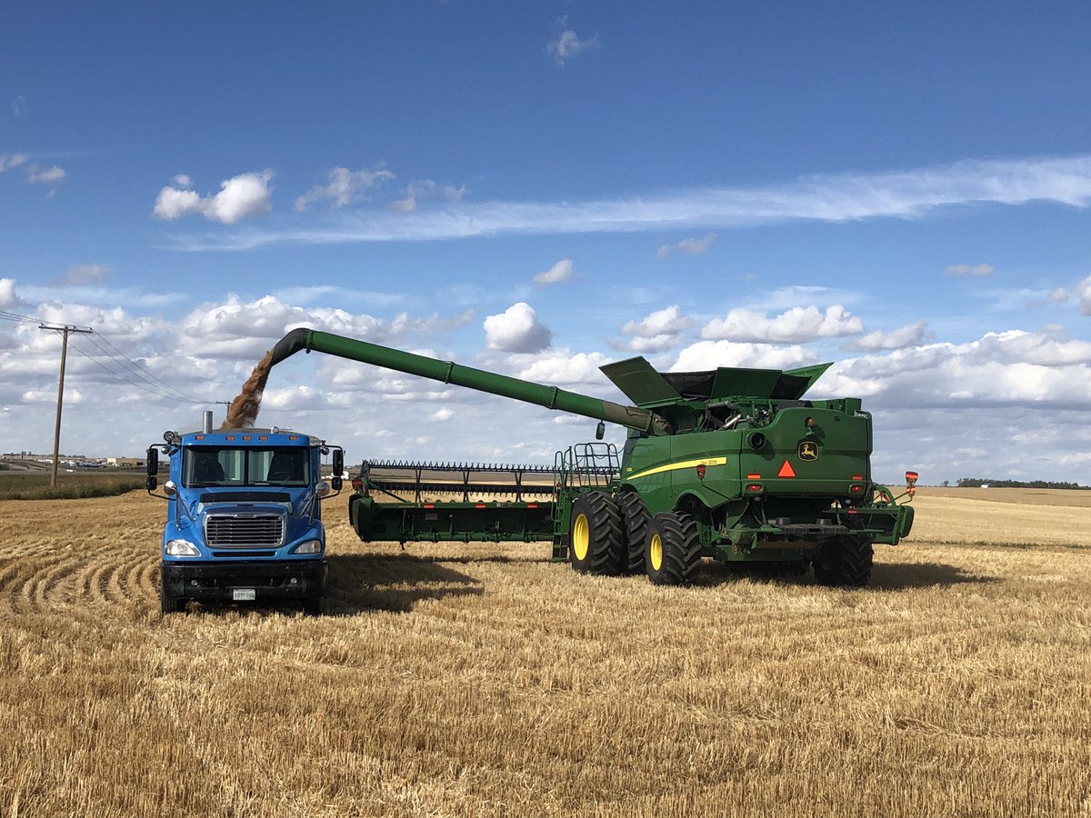 CoryDean88's tweet photo. Harvesting the Kinsmen/Town of Davidson field today!!!! Raising money for our community!!! #volunteers #wheat @WesternSalesLtd https://t.co/yWoJb5U0Zy