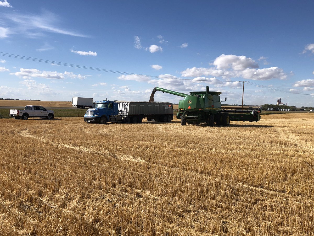 CoryDean88's tweet photo. Harvesting the Kinsmen/Town of Davidson field today!!!! Raising money for our community!!! #volunteers #wheat @WesternSalesLtd https://t.co/yWoJb5U0Zy