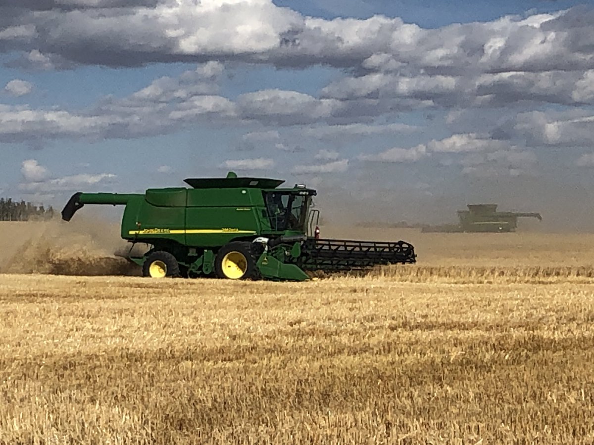 CoryDean88's tweet photo. Harvesting the Kinsmen/Town of Davidson field today!!!! Raising money for our community!!! #volunteers #wheat @WesternSalesLtd https://t.co/yWoJb5U0Zy