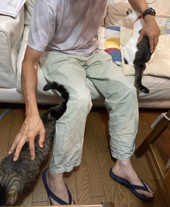 旦那がモテてモテてたいへん 
