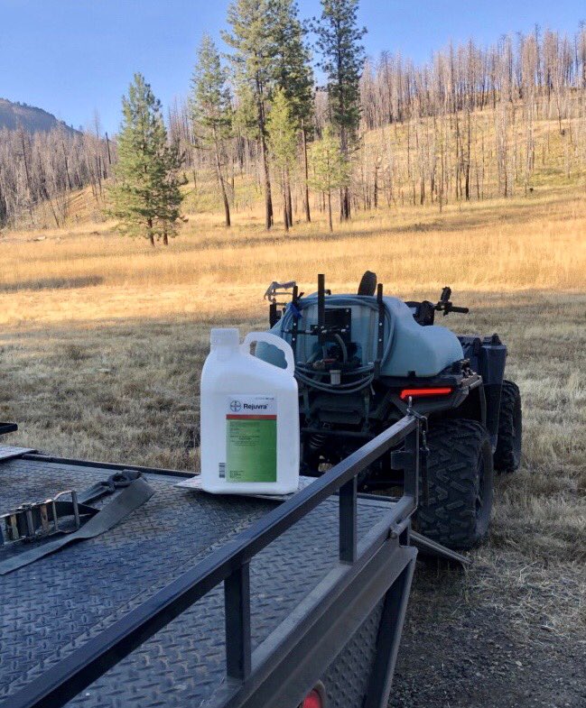 KPhotons's tweet photo. First #Rejuvra application in Oregon!  Going after invasive annuals grasses in the central part of the state.  #cheatgrass #medusahead https://t.co/bcFAZMQYly