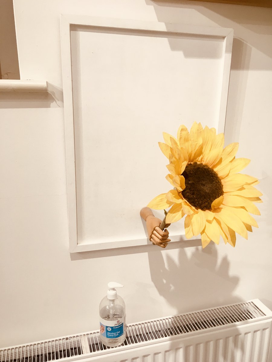 cscapepilates's tweet photo. Sunflowers, succulents  and sanitiser... and a whole lotta floor tape!
Late night prep for re-opening the studio on Monday! Can’t wait to be back 😍 https://t.co/TcPkzdHoQq