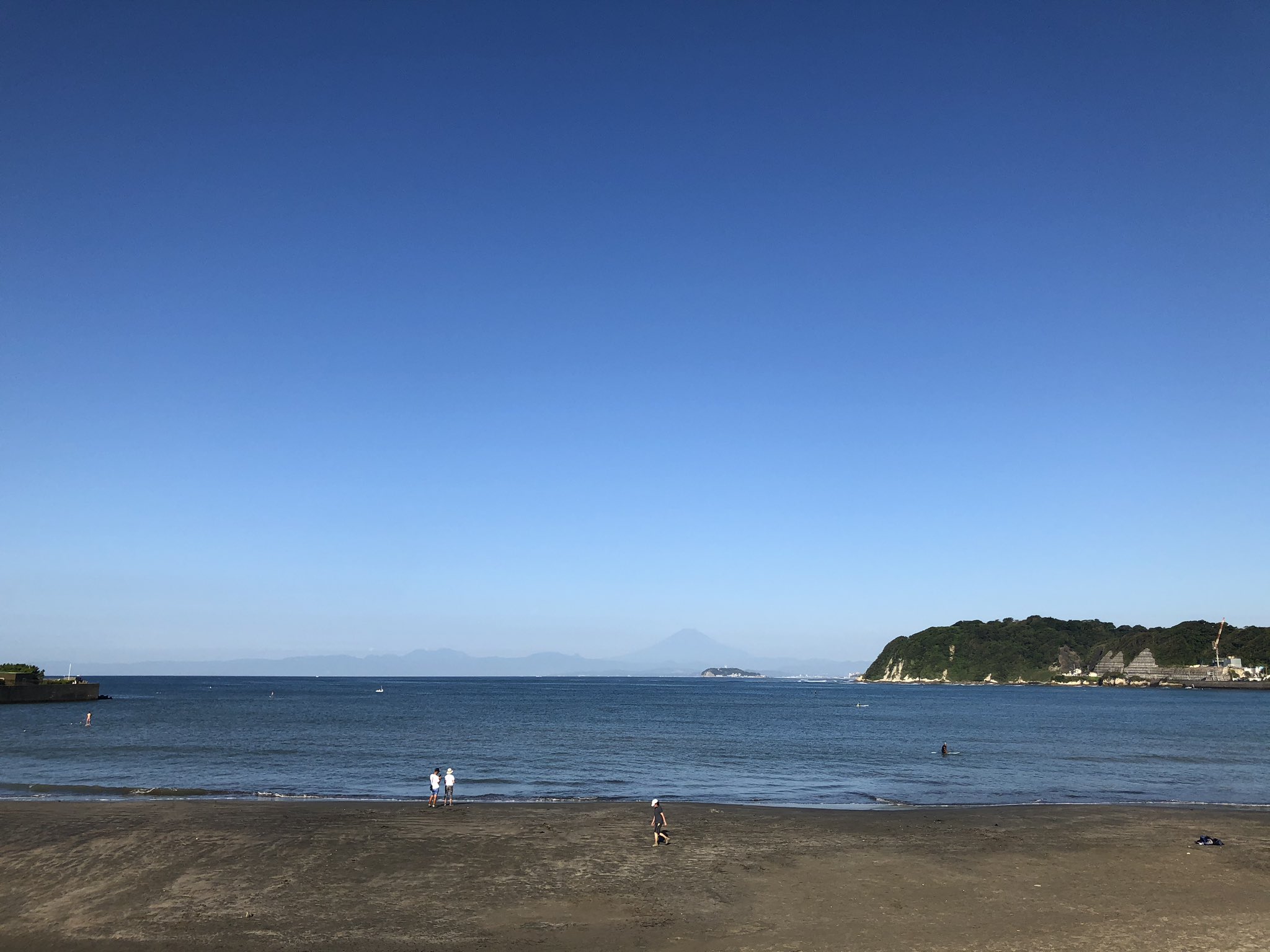 Sprout 逗子海岸https T Co Mshgf53zak Twitter