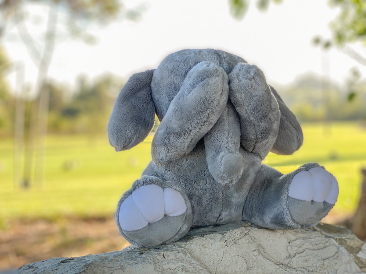 cutestplushies's tweet image. Baby elephant stuffed animal

amazon.com/Baby-Shy-Eleph…
#plushes #plushdesigner