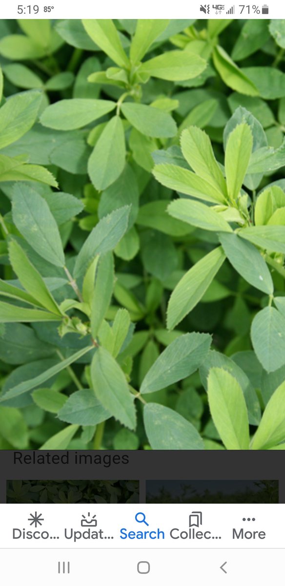 DAVID MOORE tweet media