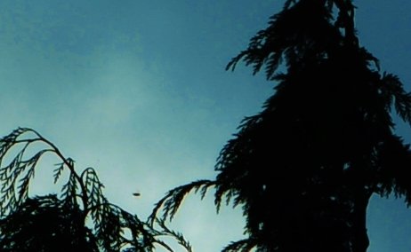 marie_kayali's tweet image. ALWAYS WATCHING #UFO #UNKNOWNOBJECT #UKUFO