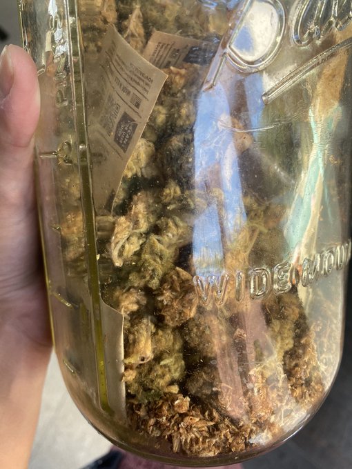 oops I left this weed jar outside and it&rsquo;s hot and some of it has yellowed can i still smoke it is it