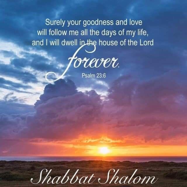 maureen_lemus's tweet photo. Shabbat shalom! https://t.co/HfsmwM7Cp6