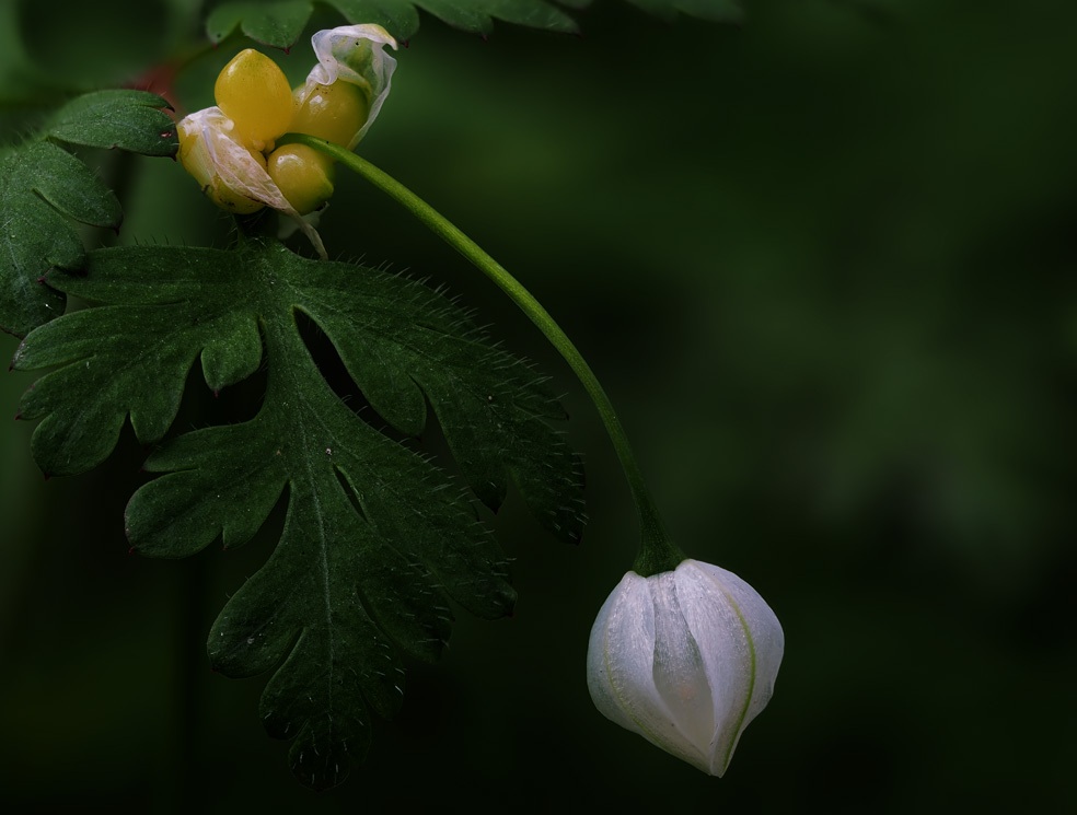ambientabbot's tweet photo. https://t.co/bltyLeMPAc