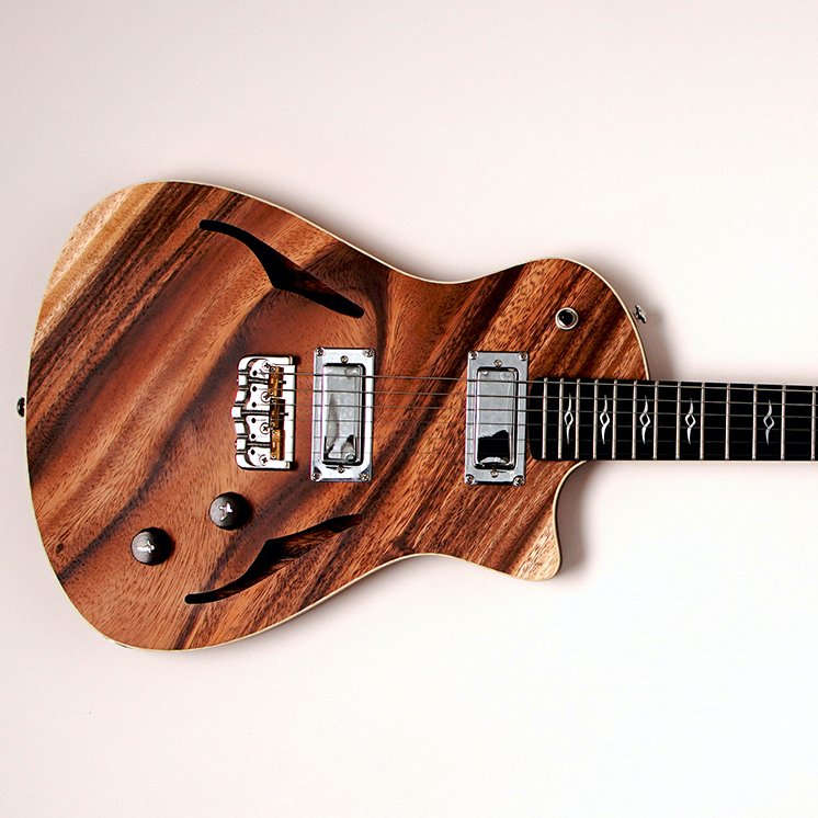 AllGuitarNet's tweet image. What are your thoughts on the new American Professional Strat with Rosewood neck? Gilmore Guitars' new 'Bobby G' hollowbody model with monkeypod wood?