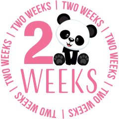 PookieDigi4Ever's tweet photo. Happy 2-week birthday, @CubbieTbd! 🥳🍼💝 @tiantianpanda97 @MommyMei98 @Tiashan_tian @pinkypanda0823 @houseofcubs @NationalZoo https://t.co/F6xr3LDC3l