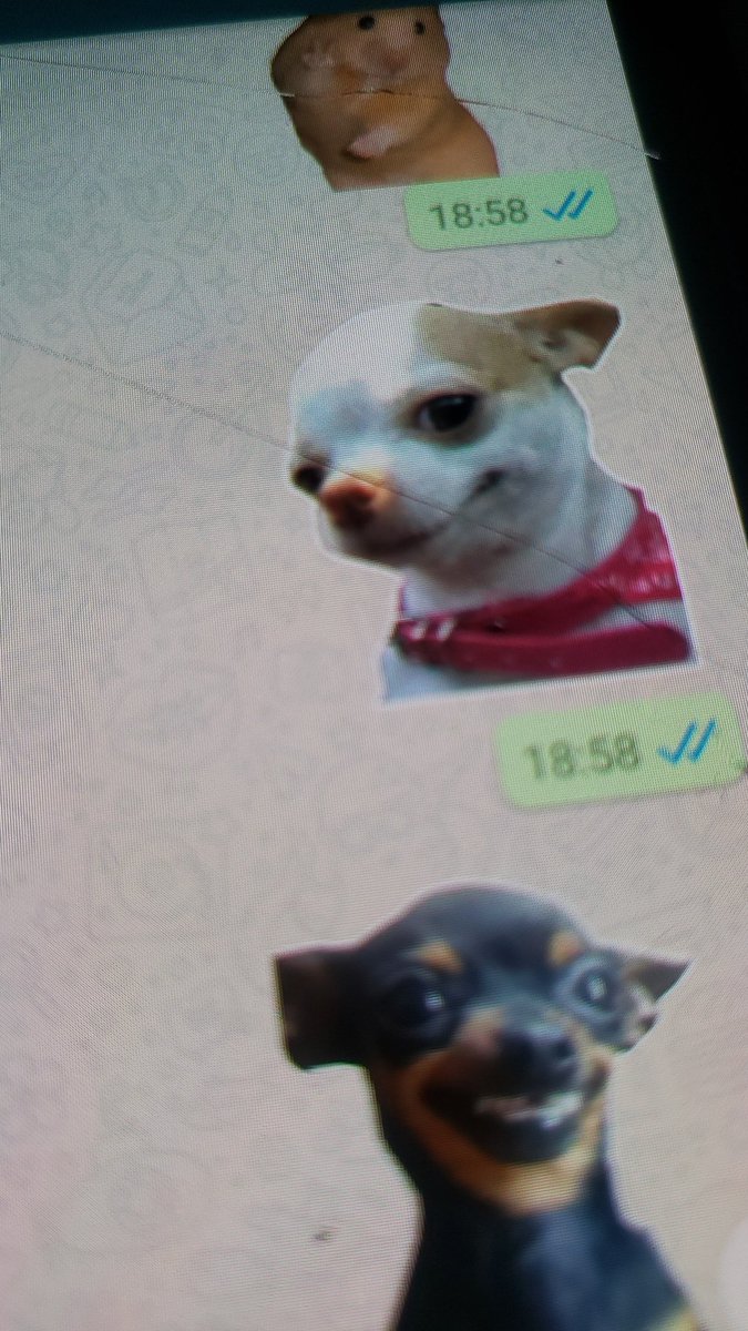 Isso é o que acontece quando vc tenta abrir a porta respondendo mensagem...
"Cansei da vida, sou uma metralhadora de figurinhas"