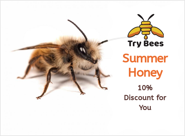 TryBees's tweet photo. TryBees - Late summer honey is here! - https://t.co/tnKGCN0P3R https://t.co/mWu3f83D8Q