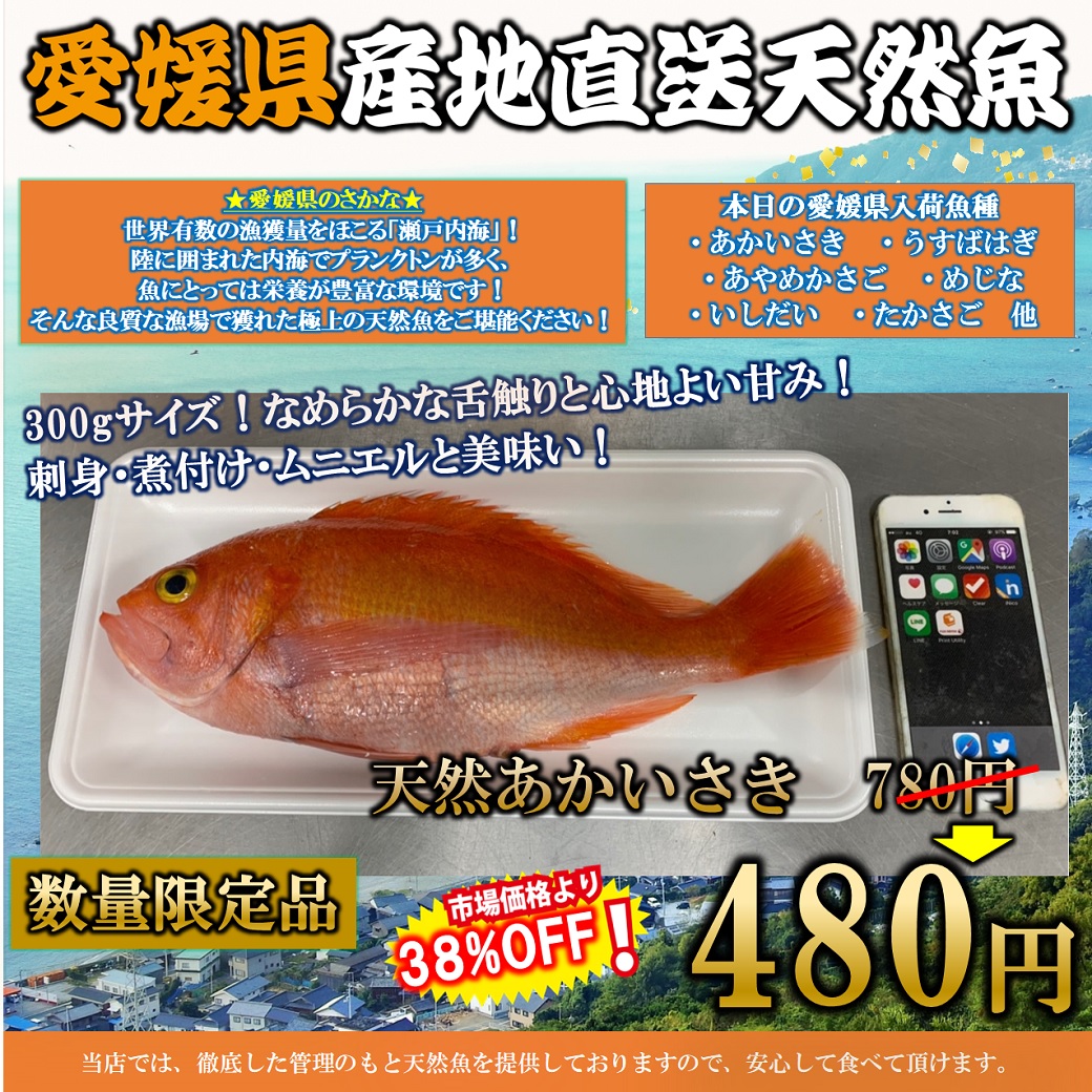 くら天然魚市場