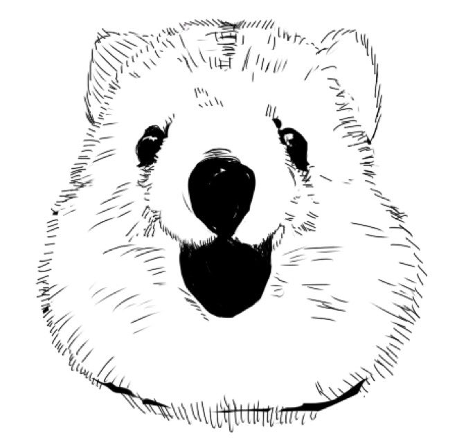 動物の写真見ながら描きました 