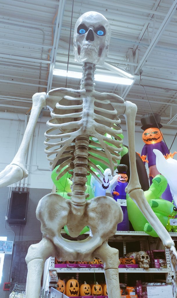Zoddman's tweet photo. SPOOKY SKELETON SEASON HAS BEGUN #2SPOOPY https://t.co/9WMf2sNxid