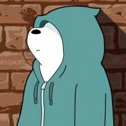 🐻