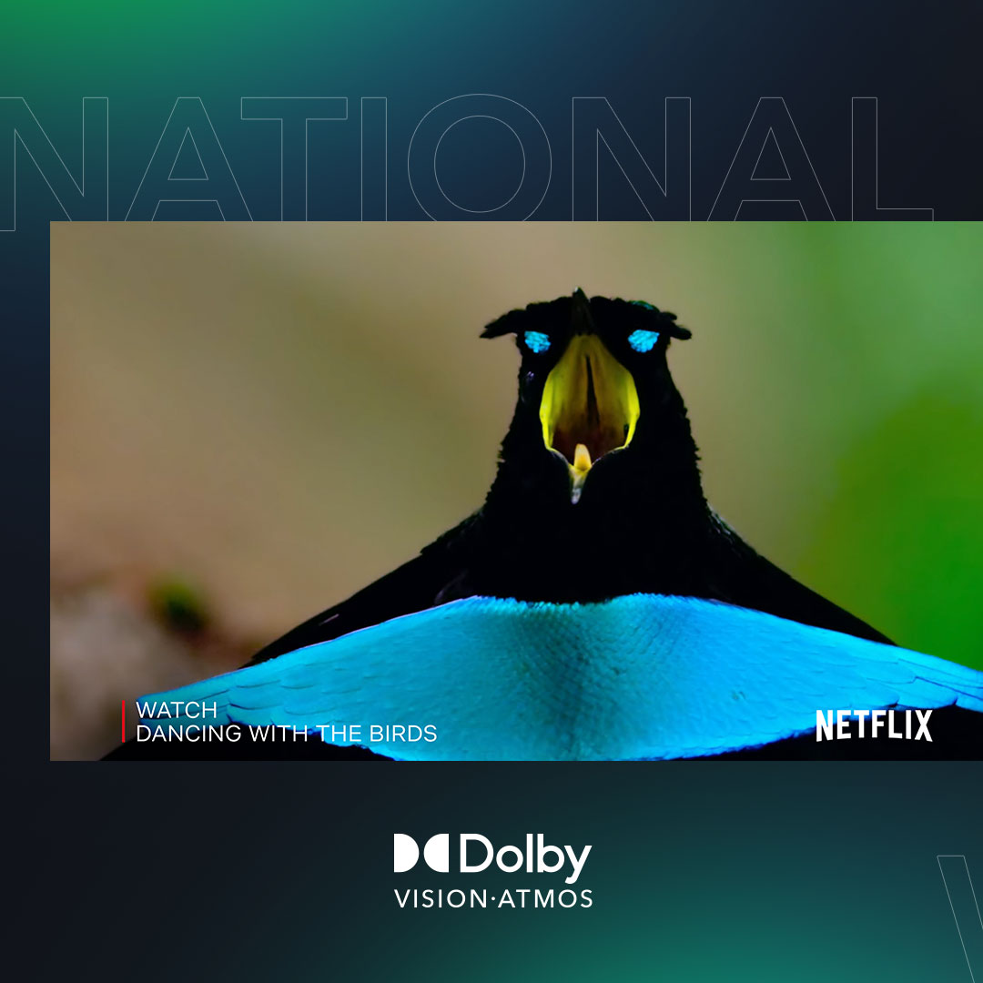 Dolby's tweet photo. Putting the wild in wildlife. Celebrate National Wildlife Day with Dancing with the Birds in Dolby Vision® and Dolby Atmos®* on @Netflix.⁣
⁣
Watch Dancing with the Birds: https://t.co/My6jVarETr⁣
⁣
*Device enabled with Dolby and Netflix premium subscription required https://t.co/mg9qvG9K2u