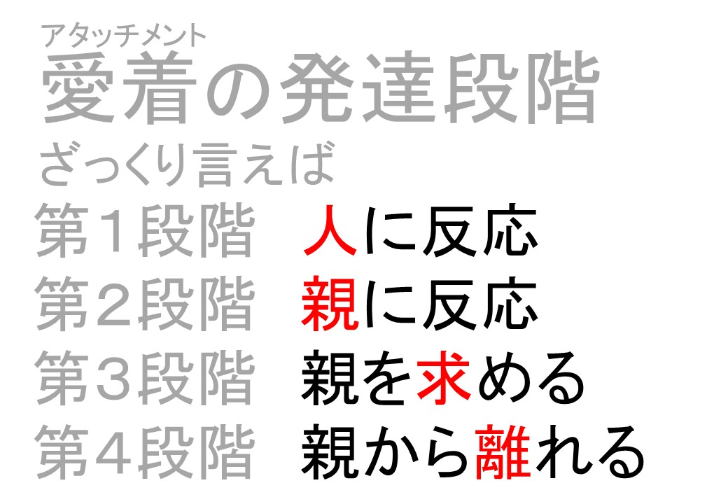 ボウルビィの愛着の発達段階4つは、ざっくりいうなら「人に反応→親に