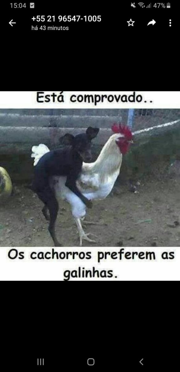 Márcio lira (@marcioliraw) on Twitter photo 