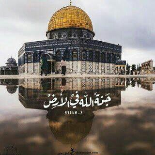 Fatima_Dw_88's tweet photo. و يسألونگ عن #الجمال 
فقل لهم : في #القدس يسكن 
ويتعدى درجة الكمال 💚
⁦❤️⁩🌺⁦❤️⁩🌺⁦❤️⁩
 فالجمال يفقد كل صفاته حين يقارن معك يا #قدس🌺💜💕💞🌷♥️
✌️⁩⁦🇵🇸⁩
ومن أراد أن ينظر إلى بقعة من بقع الجنة فلينظر إلى بيت المقدس.⁦
❤️⁩✌💙✌💚🇵🇸
#فاطمةأسعددويكات
#تواصُل_الرُّوح https://t.co/1EF5ZSrIW6