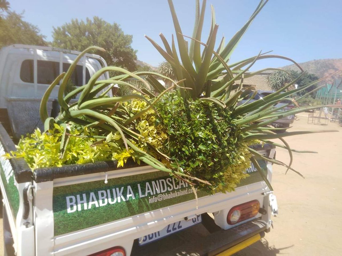 bhabuka's tweet photo. We are Open for Business from 6am-9pm Shop no 900 Makapan Street Molapo Soweto

#RapelaGardenboy https://t.co/BvIMxFuTXj