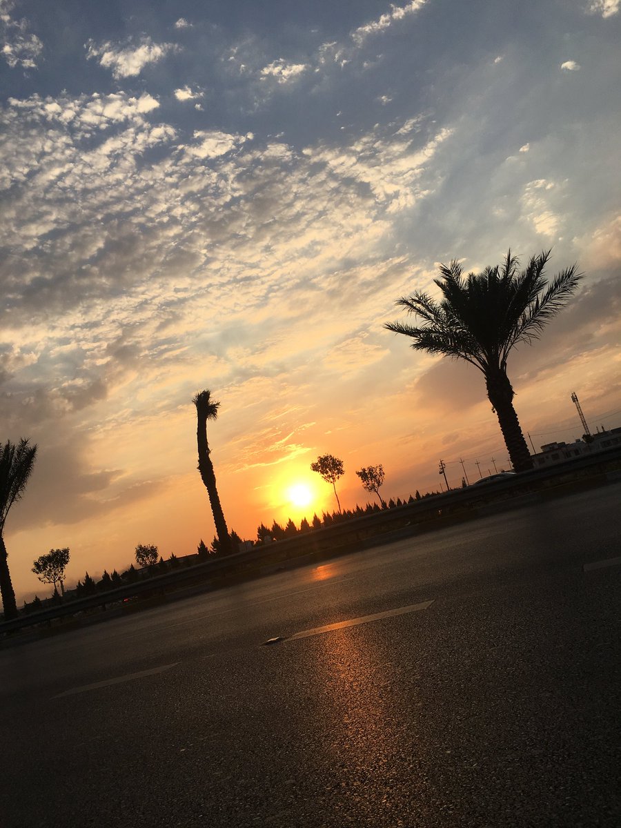 Redar_88's tweet photo. زۆر گرینگی بە (کەر) بدەی مەغرور دەبێت وا ئەزانێت ئەسپی رەسەنە..... https://t.co/3KivD1jpu0