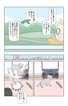 画像 / Picture