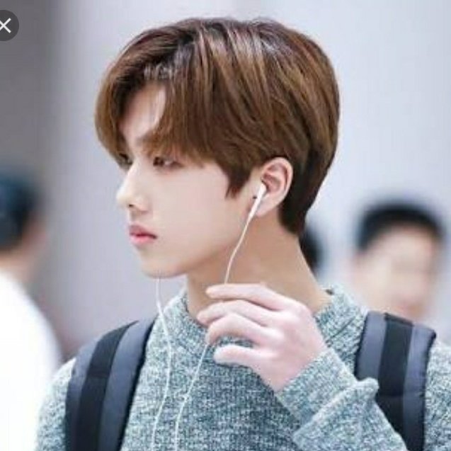 biru alexander tweet media