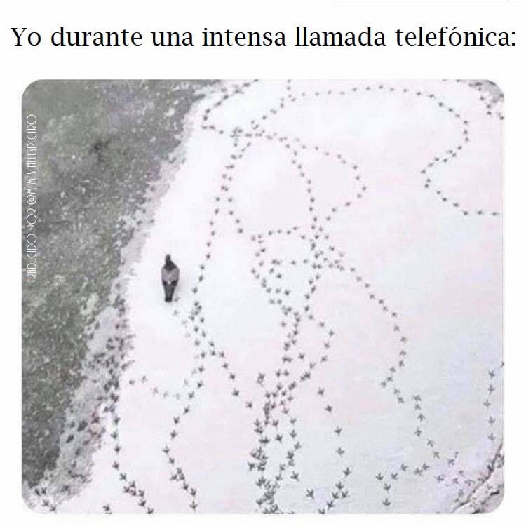 jorgepitupunkii's tweet photo. Siempre https://t.co/gXXacty8xH