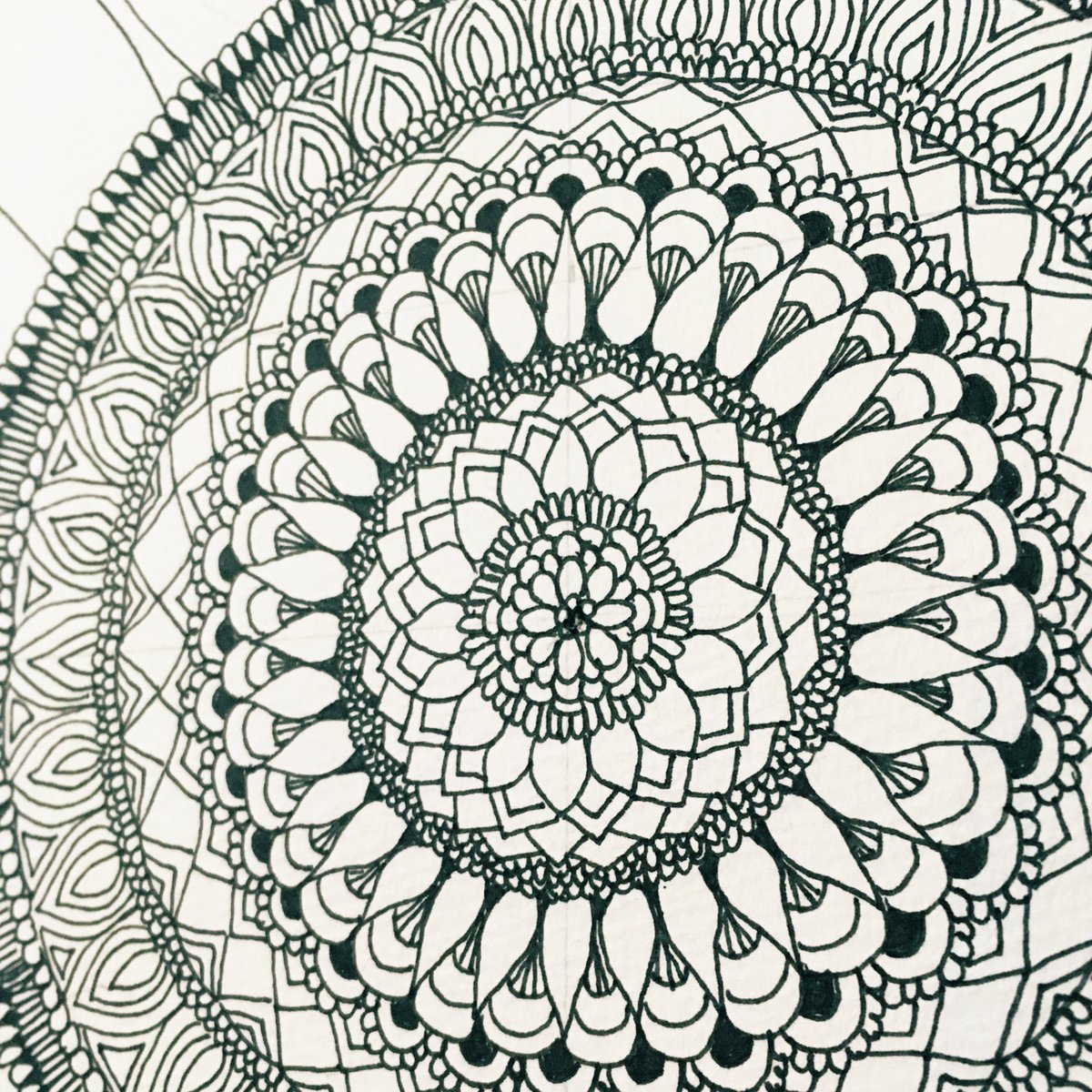 Saki ボールペン画アーティスト ぐるぐる描いてたら曼荼羅みたいになってきた ボールペン画 イラスト好きさんと繋がりたい ペン画を流してペン画民を増やそう