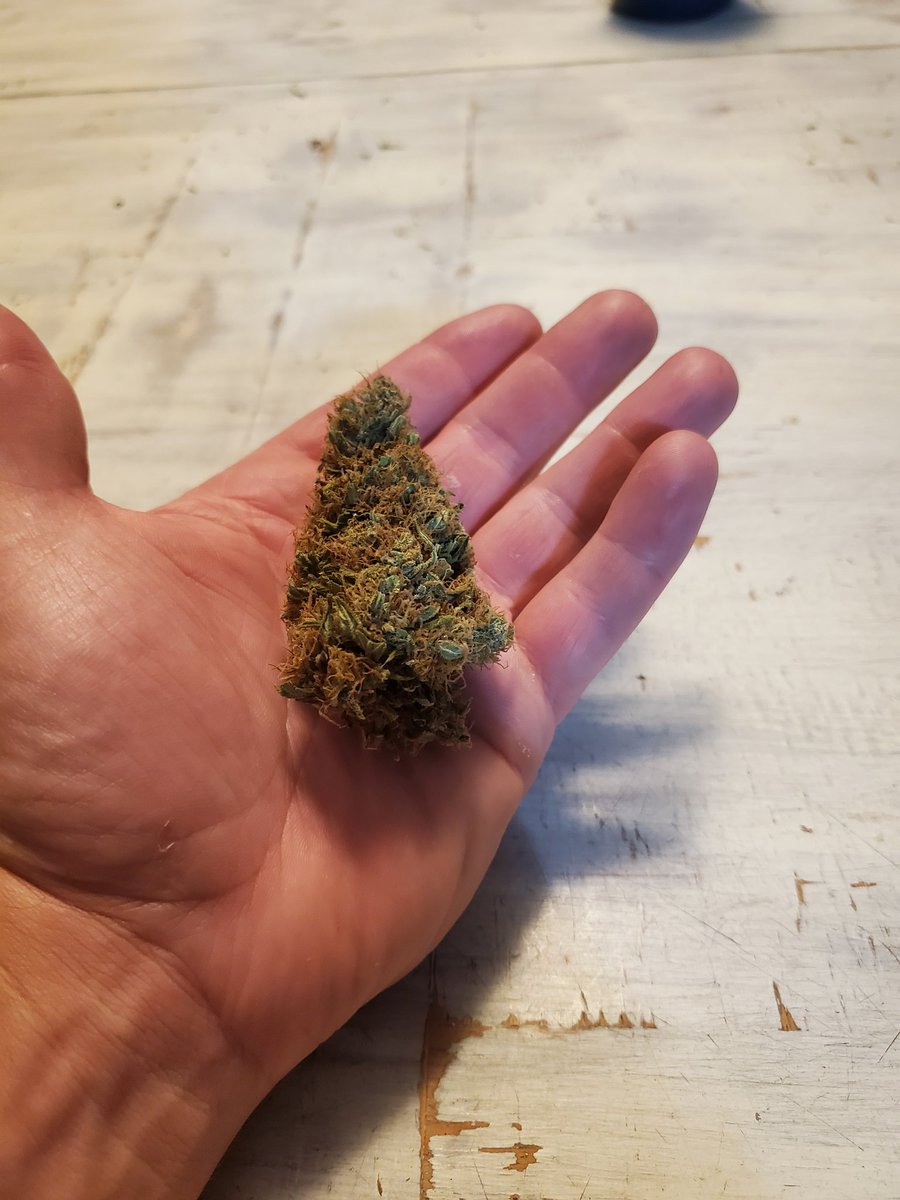 2 lb. of fine hand trimmed medication. #budbrothersfarms #medicatethestate #stickyhandscleanmoney #BlessedAndHighlyFavored