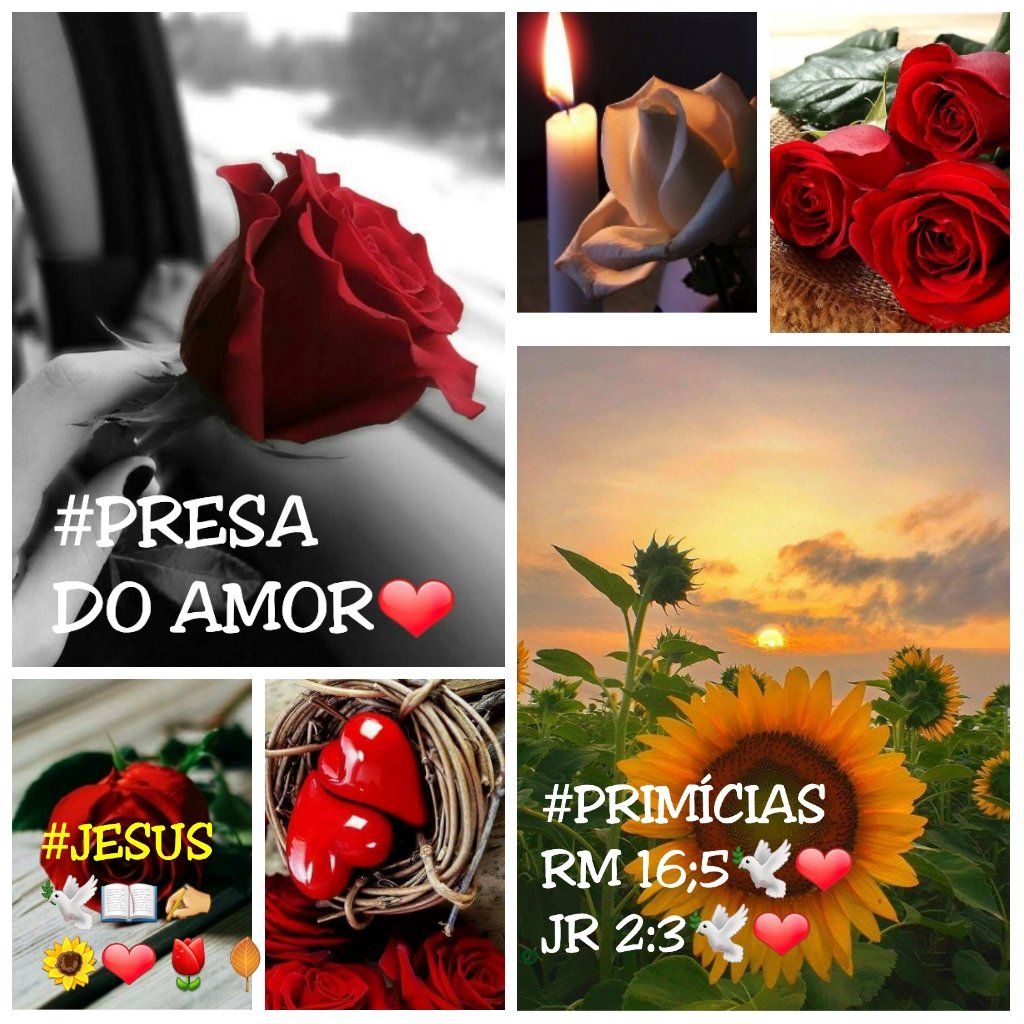 Rozane_Costa's tweet photo. #girassóis #TodosOsDias #hoje #totalmenteDele #SouPrimeiroDeleAmor #souPertençaDele #VcEscolhe #AndarComJesus #Vcdecide @RosaMar14112784
"Tudo sofre, tudo crê, tudo espera, tudo suporta", #Regozijar_SeNele #Verdade #viver #Florescer #Intimidade #sementes https://t.co/39uGGBGZCi