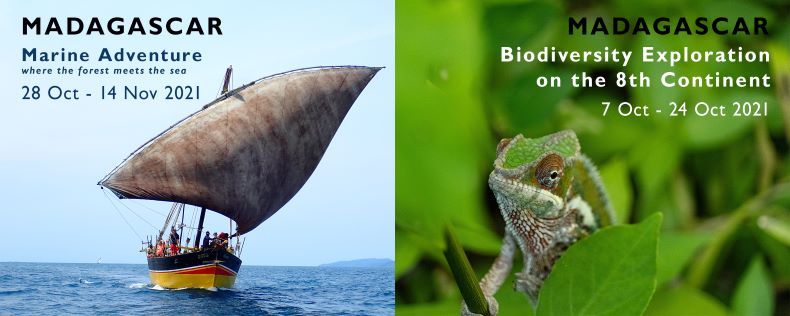 The trips with An Bollen have been postponed to next year! See above for the new dates. For more information, mail to info@moratravel.com
#madagascar #nature #unique #experience #biodiversity #marine