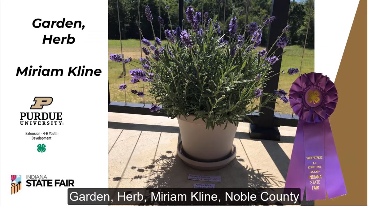 Indiana 4-H tweet media