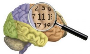matematicosousa's tweet photo. Como o cérebro desenvolve habilidades cognitivas com os números?
https://t.co/Zww0OPk2GI #Matemático #Cérebro #Desenvolve #Habilidades #Cognitivas #Números #Trends #XYZ #Pedagogo #Psicopedagogo #Cerebral #Cultura #Hábito #Aprender #Córtex #Esforço #Psicopedagogia https://t.co/bD3LsZ0SvR