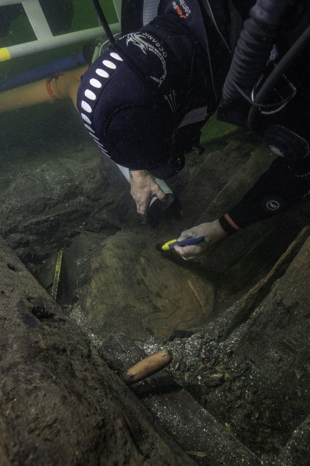 SCBMarine's tweet photo. Atlantic sturgeon in the King’s pantry – unique discovery in Baltic Sea wreck from 1495
"Now we know that the Atlantic sturgeon was part of the ecosystem" before we interfered with it.
https://t.co/IZYVwE9A59 @lunduniversity #DNAstudy #historicalecology https://t.co/o3k9WNH84u