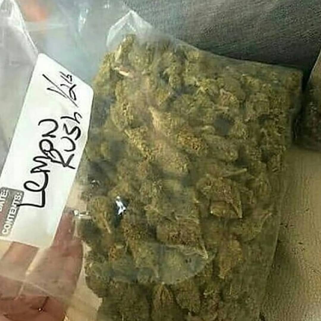 #hightimes #highlife #smokinghigh #purplehaze #WeedLovers #granddaddypurp #CannabisCommunity