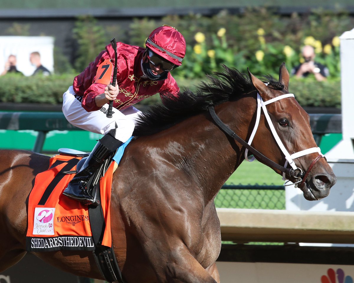 How to pick a horse winner How to pick a horse winner nt licensed bookmakers betting