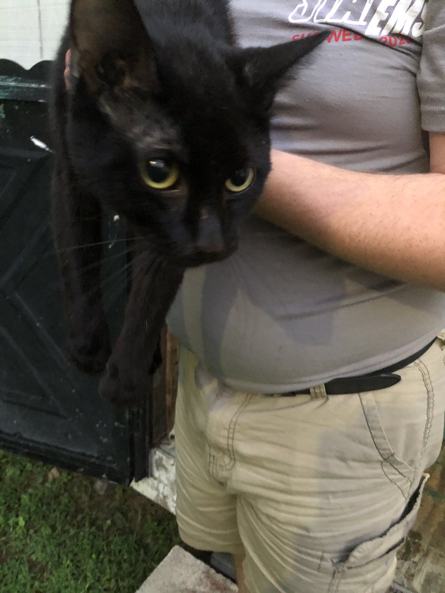 tobythemaineco1's tweet photo. ATTENTION I HAVE ACCLAIMED A STRAY CAT AS MY OWN! HE IS INFESTED WITH FLEAS AND IS SCARED OF HUMANS! THE VER COST FOR FLEAS AND A CHECKUP RUNS FOR 200 THATS FOR A FULL CHECKUP FLEA MEDICATION, DEWORMING AND TO BE NEUTERED! DONATE IF POSSIBLE! https://t.co/k8vuq1BTCf https://t.co/4KNXh3ZkQZ