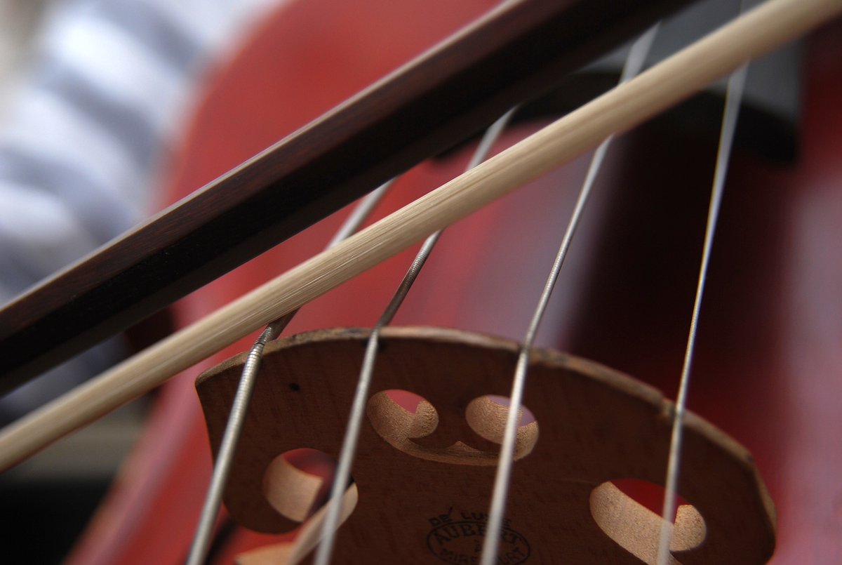 MarionFiedlerTN's tweet photo. HAPPY WEEKEND, YALL!
much love your way!
XX.
Marion
#cellolove #hoefnercello #hofnercello #musicweekend #cellolover #hoefnerguitars #hofnerguitars #hofnerguitar #hoefnerguitar #bassnotes #bassline https://t.co/04sIFaRKc8