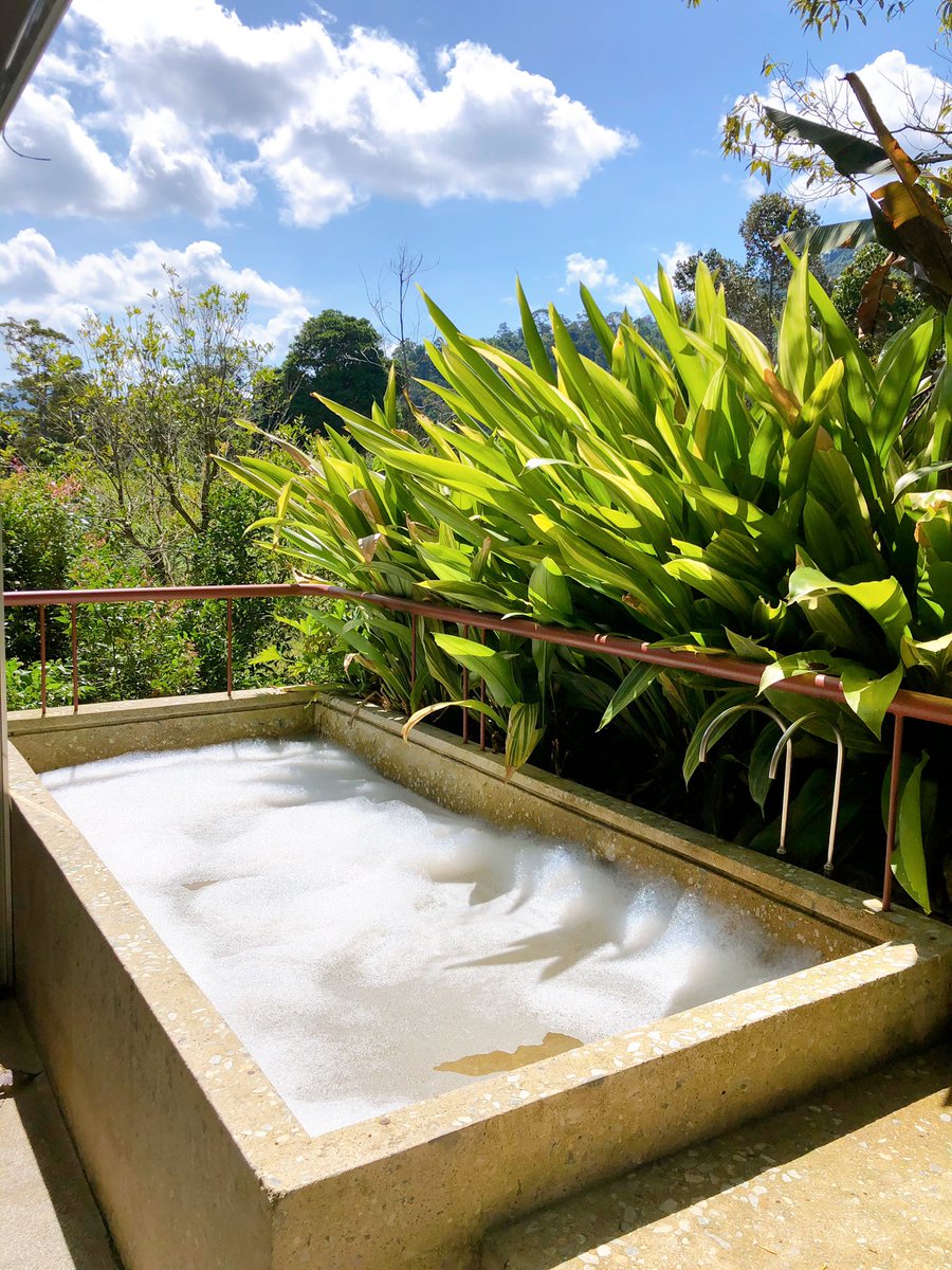 arfdy12's tweet photo. Guys, ada satu tempat best kat Janda Baik untuk staycation. 

Nama dia Happi Eco Village. Deco Minimal tapi lengkap, bilik air cantik sangat. Ada bilik yang ada bath tub kat luar. 

Jungle pool dia pun best! Guna air masin tak silap.

Ini adalah thread bergambar pendek. https://t.co/6gwNkoulSk