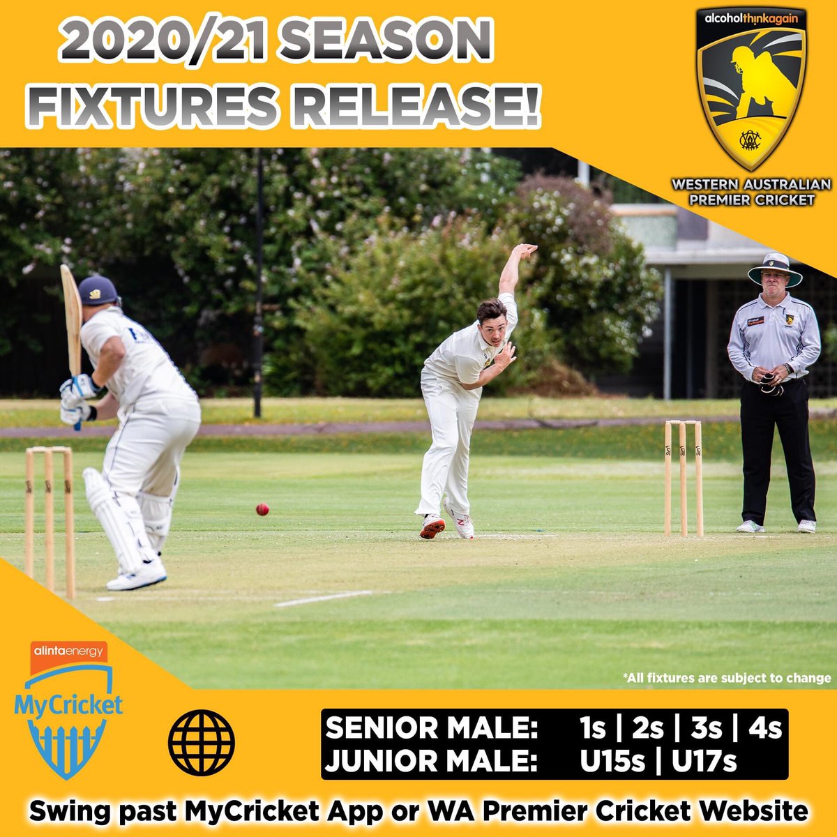 SPCCinWA's tweet photo. Yes! Cricket season is finally announced! https://t.co/NJpHX5Upus