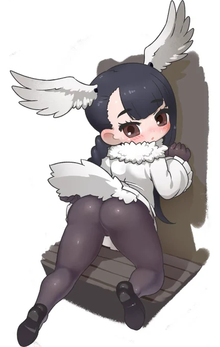 おしりオブザクロトキ 