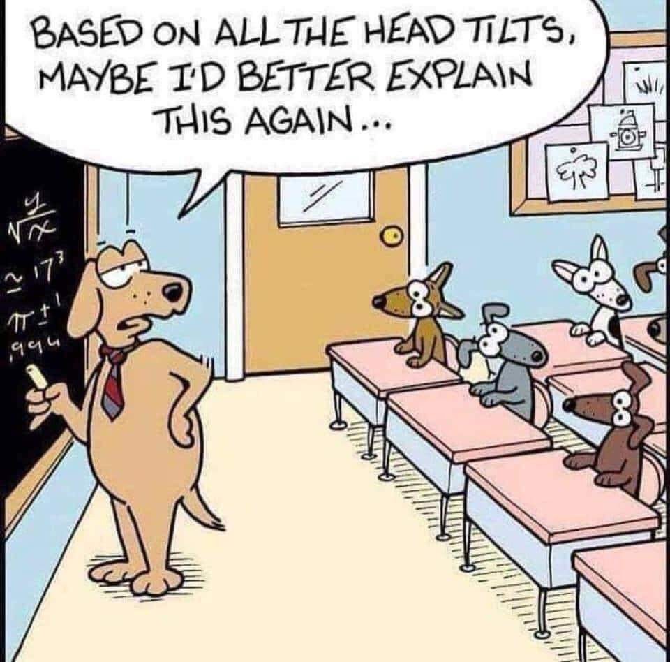 RealMathSol's tweet photo. We can explain it again! #realmathaolutions #funmathfriday #elearning
https://t.co/rUlxOMZhLz https://t.co/n7ark7GTUy