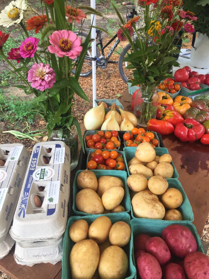 Last Saturday farm pickup until October 🍁 - mailchi.mp/d5f8705d270e/e…