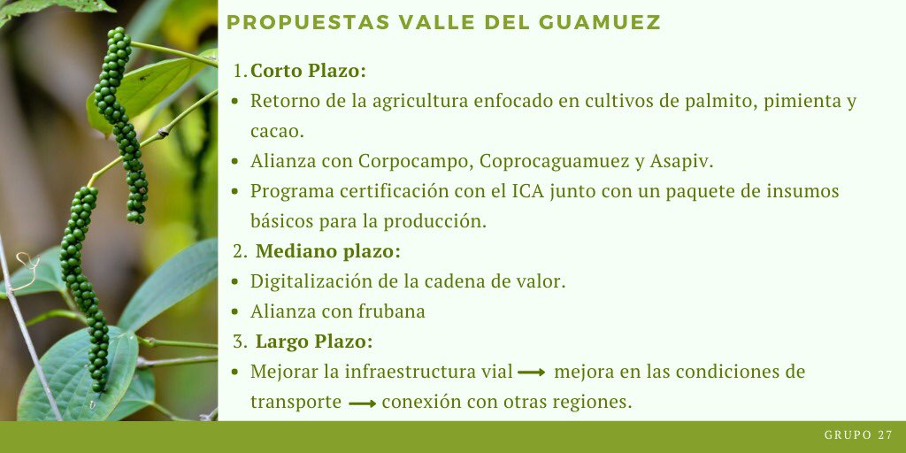 ForoEconomiaUR's tweet photo. Equipo 27: Valle del Guamuez. “Programa de certificación ICA, digitalización de la cadena de valor, fortalecimiento de la infraestructura vial.” @mafe259 @camito_24 @mcastroblanco @ApaSalPer @Uniandes https://t.co/L96GrvnK31